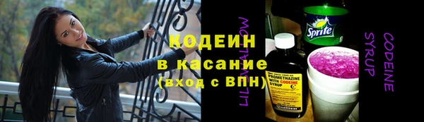 гашик Верея