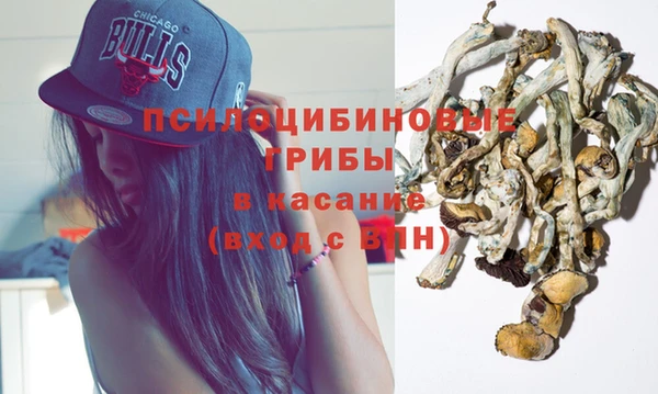 гашик Верея