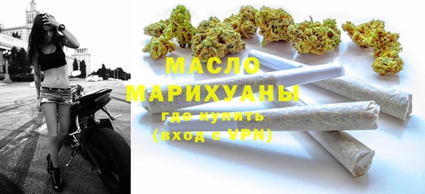 гашик Верея
