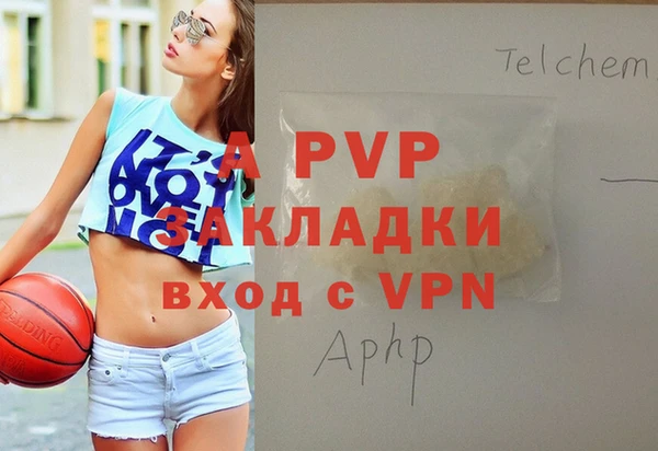 гашик Верея