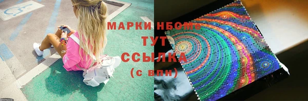гашик Верея