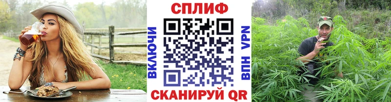 Купить где  Холмск  Конопля ГИДРОПОН 